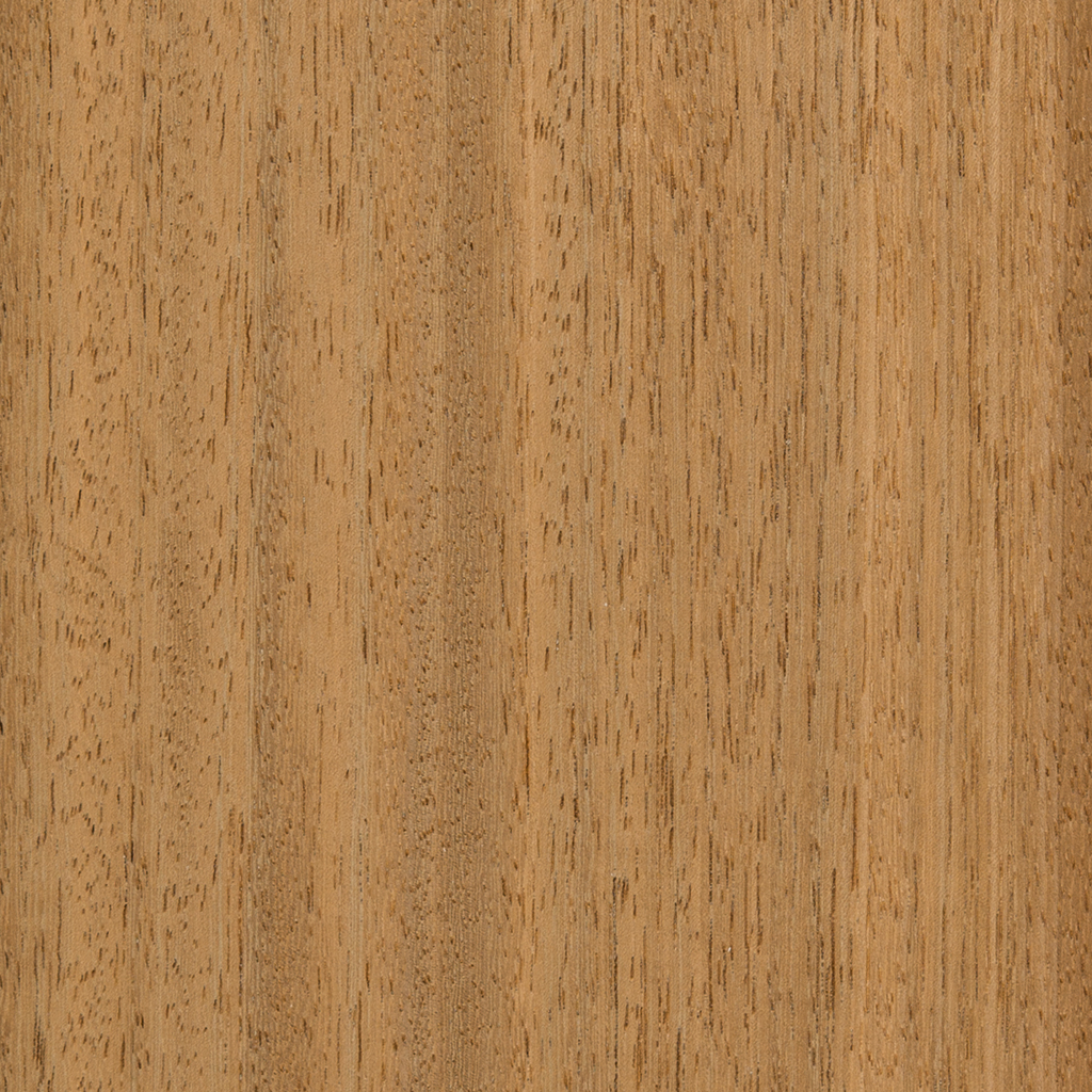 Iroko;  kambala