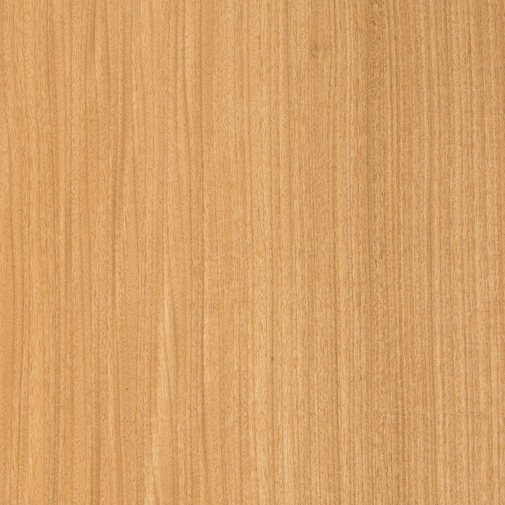 Afrormosia, Kokrodua,Assamela