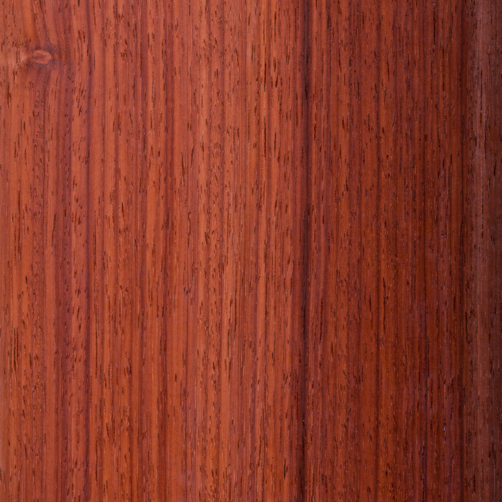 Afrikanisches Padouk