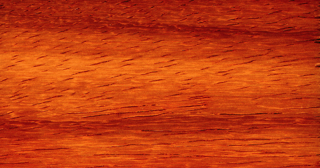 African padauk