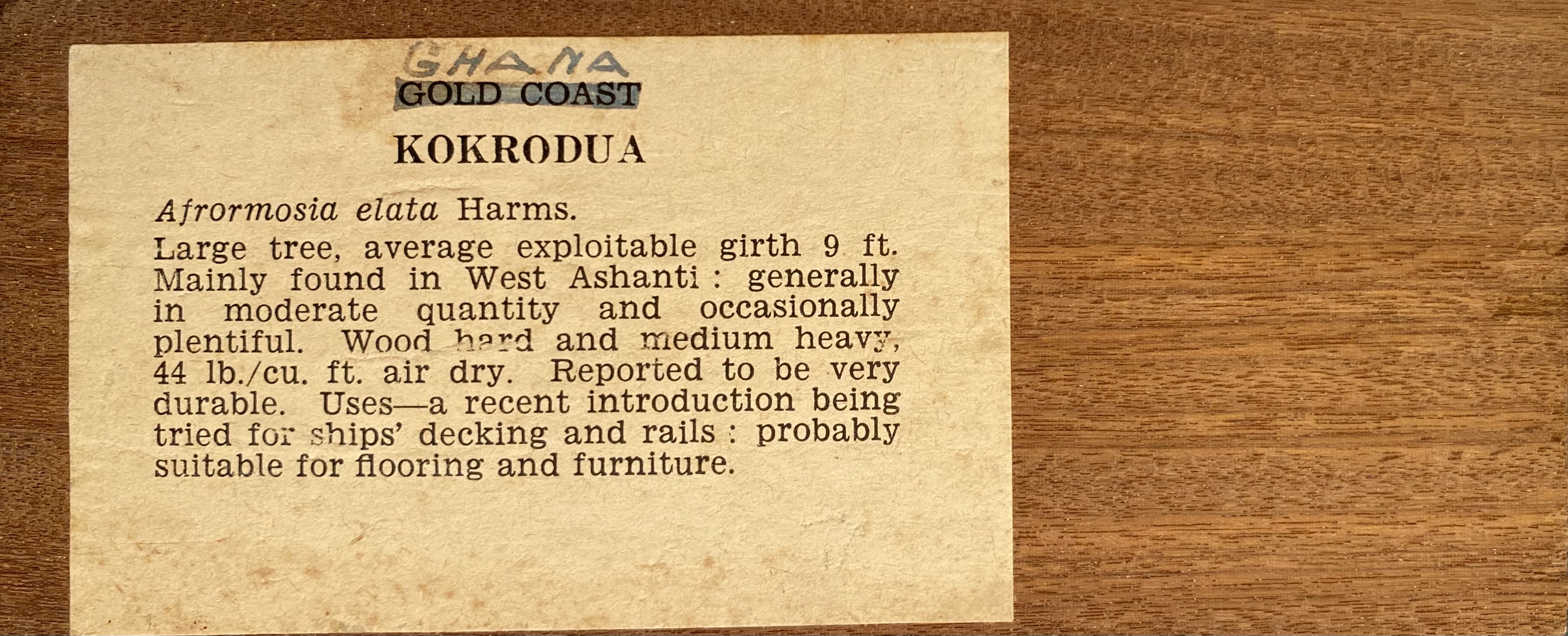 Afrormosia, Kokrodua,Assamela