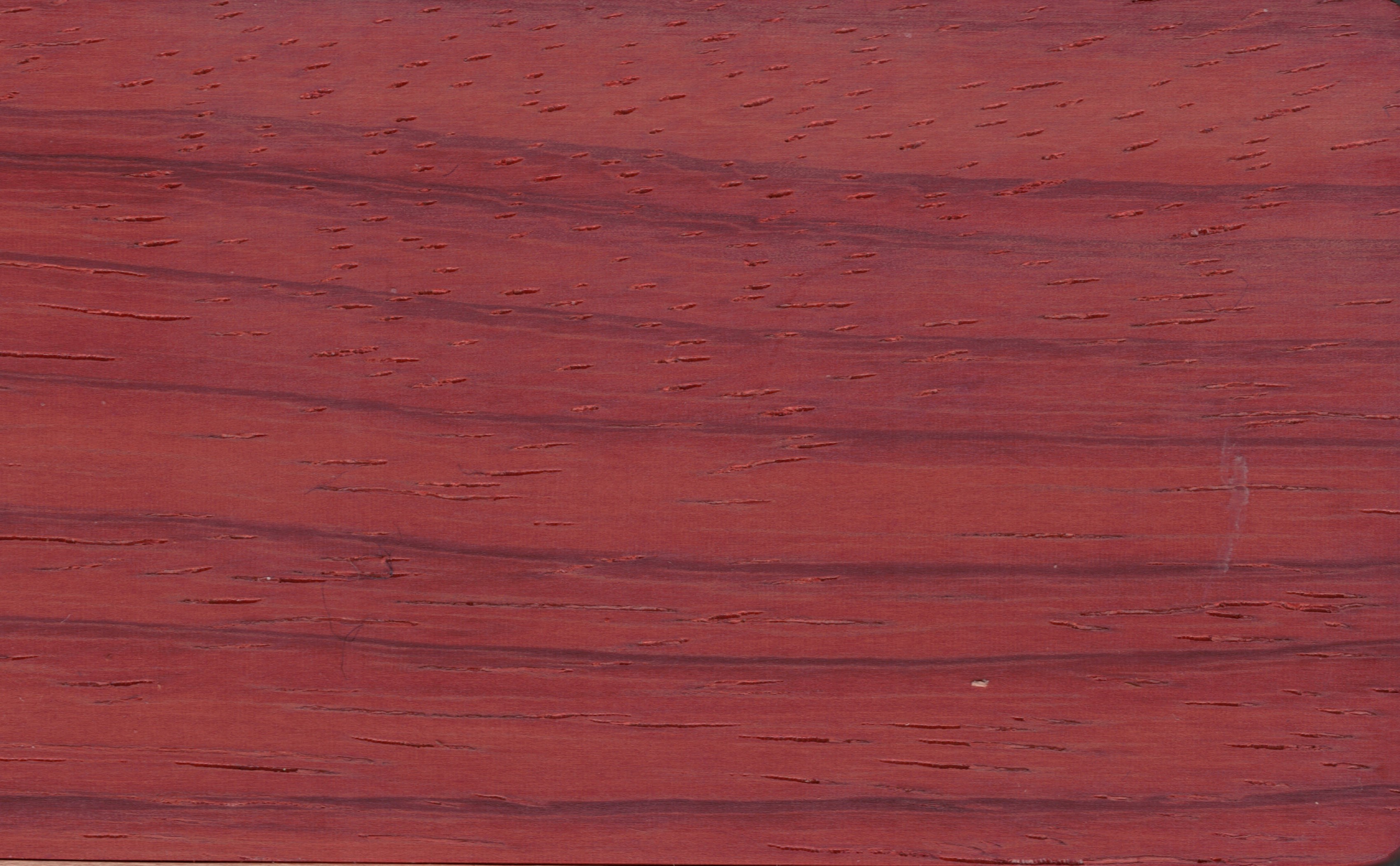 African padauk