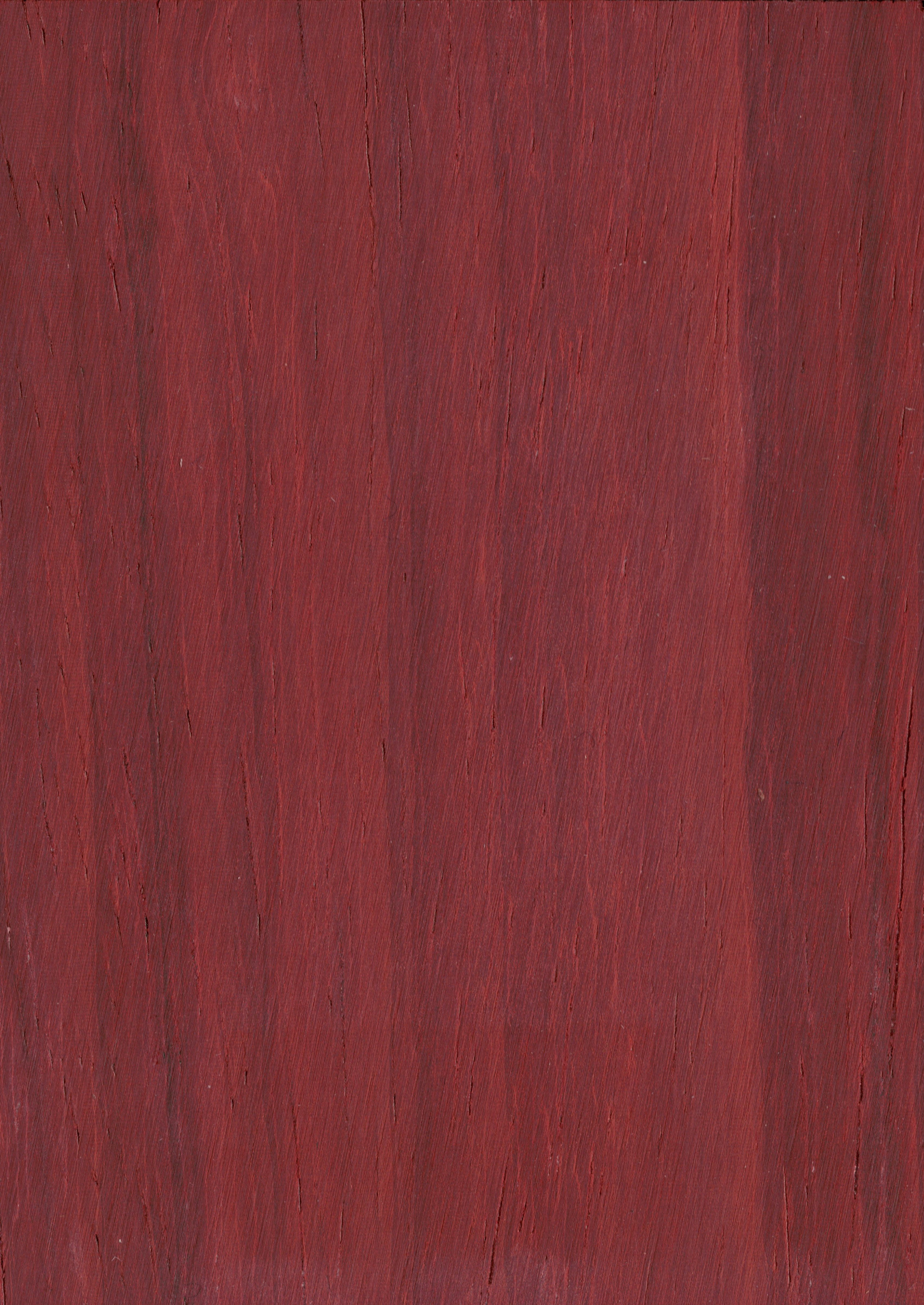 African padauk
